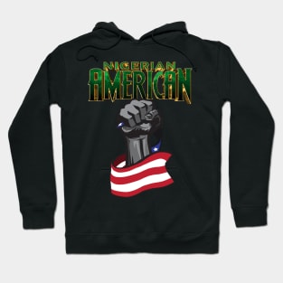 Nigerian American Hoodie